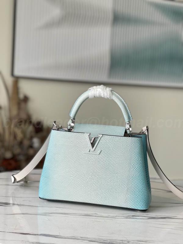 LV Handbags 4